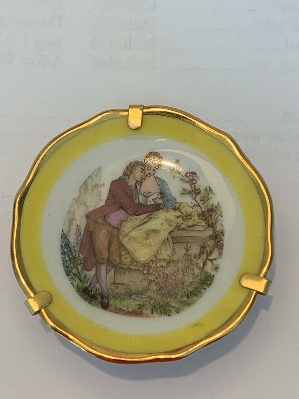 Limoges Vintage French Doll House Plate